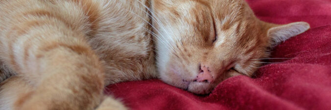 August 2011 Teil 3 - Beitragsbild