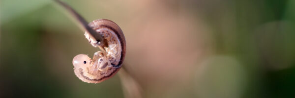 September 2011 Teil 2 - Beitragsbild