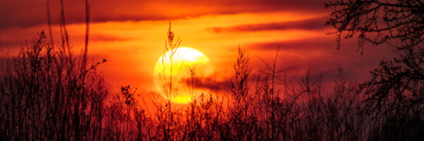 Rückblick 2012 Beitragsbild