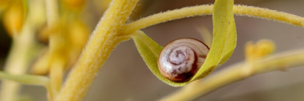 Rückblick 2012 Juni bis August #2 Beitragsbild